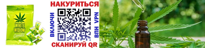 Купить где  Змеиногорск  Canna-Cookies марихуана 