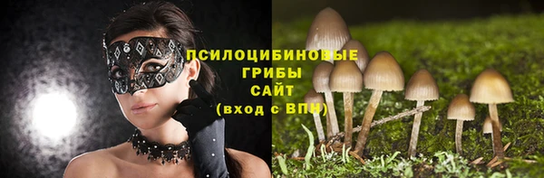 сатива Горнозаводск